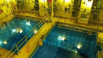 Esto es lo que te pasaría si decides zambullirte en la piscina de una central nuclear