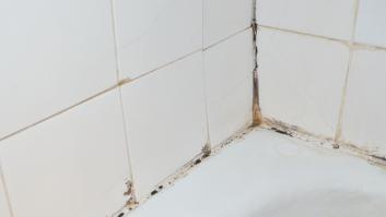 Adiós al moho en el baño para siempre: un ferretero recomienda este producto milagroso