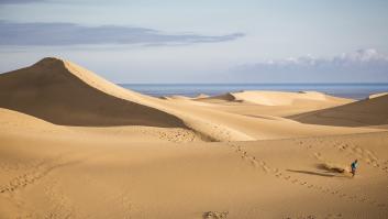 Por qué Maspalomas se llama Maspalomas: no tiene nada que ver con este animal