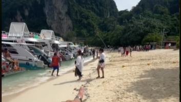 Viaja a las islas Phi Phi en Tailandia y esto es lo que se encuentra