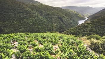 Ni la BBC se puede resistir a la espectacular región vinícola española recorrida en barco