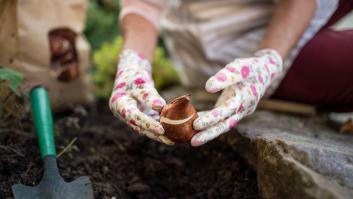 Esto es lo que debes plantar en tu jardín en septiembre para que tus vecinos te envidien en primavera