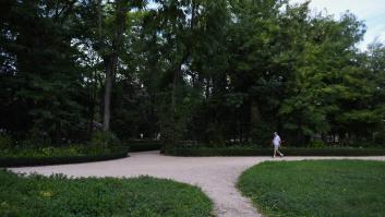 La planta alucinógena que mató a dos madrileños brota de nuevo en mitad de un parque de ciudad