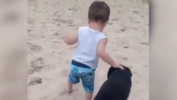 El ejemplo de que el perro es el mejor amigo del hombre: este bebé aprende a andar gracias a él