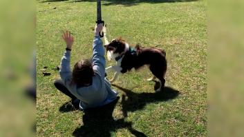 Un perro se queda mirando lo que hacen sus dueños y lo que hace imitándolos es historia de internet