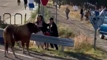 Capturan el tenso cara a cara entre un toro escapado de un encierro y un niño