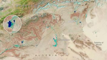 La NASA capta imágenes del particular fenómeno que tiñe de verde al desierto del Sáhara