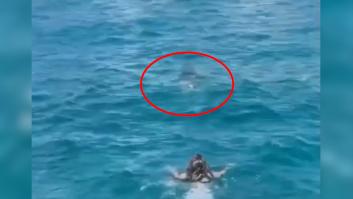 Ve una bolita de pelo flotando en el mar, se sumerge y lo que encuentra arruina sus vacaciones