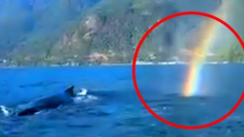 Se encuentra cara a cara con una ballena y el animal la rocía con un arcoíris: "¿Es esto la vida real?"