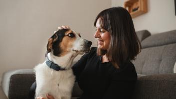 La multaza que le puede caer a las tiendas que vendan perros, gatos y hurones a partir de ahora