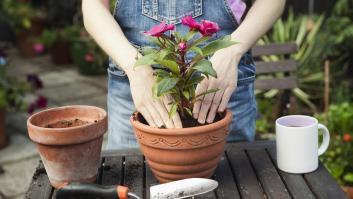 Una experta jardinera finlandesa pide que los españoles hagan inmediatamente estas tres cosas en su jardín