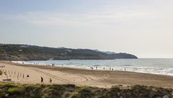 Eligen esta costa española como el "punto de esperanza" para las ballenas y la fauna marina