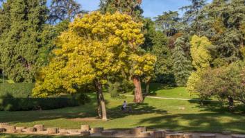 Ni el Retiro ni la Casa de Campo: el desconocido parque en el centro de Madrid con cascadas impresionantes