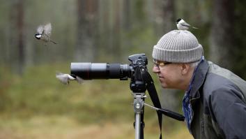 Un fotógrafo aficionado captura en primicia el ave del siglo