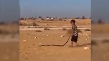 Un niño juega con una cobra venenosa y lo más inquietante es la actitud de la persona que lo graba todo