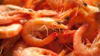 Alerta alimentaria desde Hong Kong por un tóxico peligroso en gambas españolas: se activa amenaza con multa y prisión