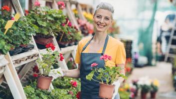 Un florista desvela cómo y cuánto podar los geranios en invierno para que estén perfectos en primavera