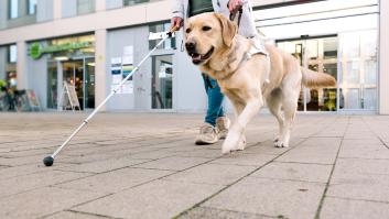 Esta es la escuela de Madrid donde adiestran a todos los perros guía de España