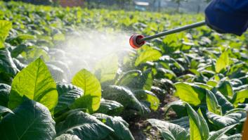 Un joven de 14 años es nombrado científico del año por dar el golpe definitivo a pesticidas de frutas y verduras