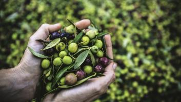 Patente mundial a este molino de aceite de "bolsillo" que muchos querrían que llegara a España