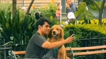 Un Golden Retriever muestra a su dueño la verdadera amistad: "No necesitas muchos amigos, solo los adecuados"