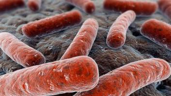 Detectan tres contactos positivos tras un caso de tuberculosis en un colegio de Badajoz