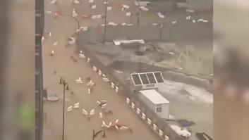 El centro de Málaga empieza a sufrir el caos de las inundaciones: autobuses atrapados y mobiliario urbano flotando