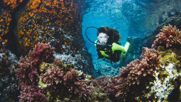 El primer parque temático con jardines submarinos de Europa estará en Tenerife: "Como un videojuego pero real"