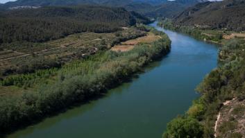 Se va al Ebro a pescar y tropieza con un coloso acuático de casi 3 metros: "Parecía salido de otro planeta"