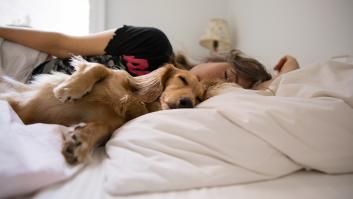 Las dos advertencias a tener en cuenta si duermes en la cama con tu mascota