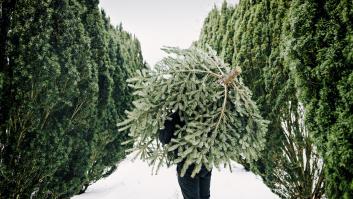 Un hombre lleva siete décadas sembrando espíritu navideño: "No tendría 99 años ahora si no hubiera cultivado árboles de Navidad"