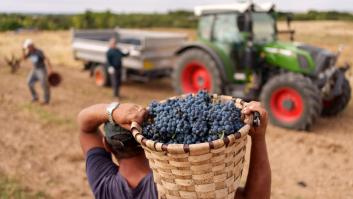 De acuerdo en no querer "este" acuerdo: el campo español se rebela contra el pacto "desleal" con Mercosur