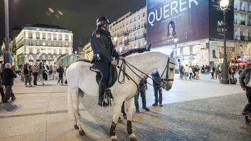 Años patrullando las calles de la ciudad y pocos conocen la verdadera utilidad de los caballos policía