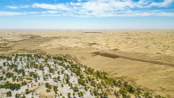 China tarda 40 años en detener el segundo desierto de arena más grande del mundo con un cinturón verde de 3.000 kilómetros