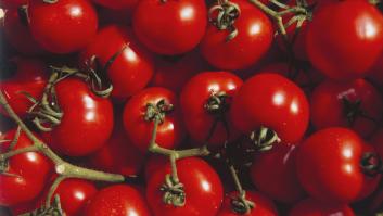 Un cambio en el tomate de Marruecos aumenta la presión sobre el máximo competidor español