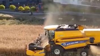 Lección de un agricultor a los especuladores de terreno: se niega a vender sus tierras y saca su cosechadora entre pisos y asfalto