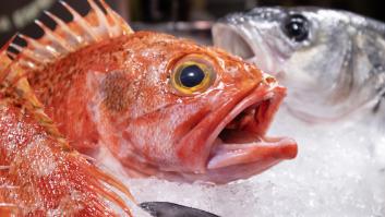 Ni el salmón ni el lenguado: el pez rey de colores que arrasa en Mercadona es el más saludable del mundo