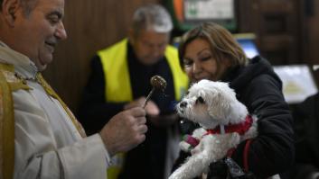 San Antón 2025 en Madrid: fechas, pregón y dónde se bendice a los animales