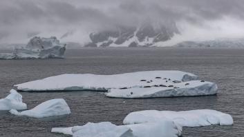 Lanzan un mensaje de esperanza por lo que está pasando con el hielo marino de la Antártida