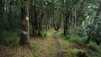 Estos son los paseos de Galicia que te harán enamorarte de la comunidad autónoma