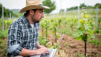 Ordenan arrancar viñedos para salvar el vino español