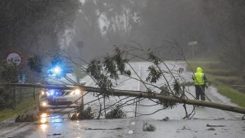 Así está afectando 'Herminia' al norte de España: vuelos cancelados y árboles en carreteras