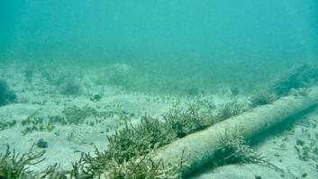 Suecia incauta el barco que saboteó el cable submarino en el mar Báltico