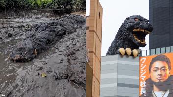 Un hombre graba un cocodrilo gigante y la respuesta de todo el mundo es la misma: "Godzilla"