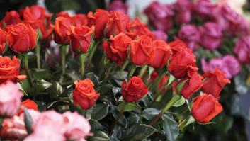 Ni 50 ni 100 euros: los expertos piden gastar esta cifra exacta en el regalo de San Valentín