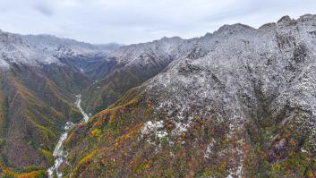 Se extravía en las montañas casi 2 semanas y sobrevive tras crear un "alimento" mezclado con agua de río y nieve