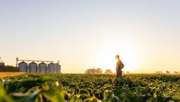 El fruto seco que pide a gritos 100.000 puestos de trabajo en España