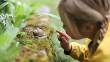 Vierte esta solución natural en tu jardín en marzo y los caracoles huirán rápidamente