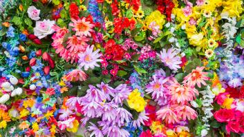 ¿Qué es el equinoccio de primavera y cuándo es en 2025?