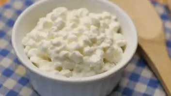 Soy técnica en nutrición y te revelo cuál es mi queso favorito del supermercado